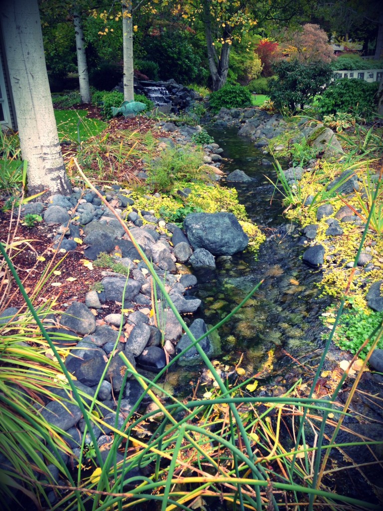 A beautiful water feature flows in the middle of the courtyard of Evergreen Hospice